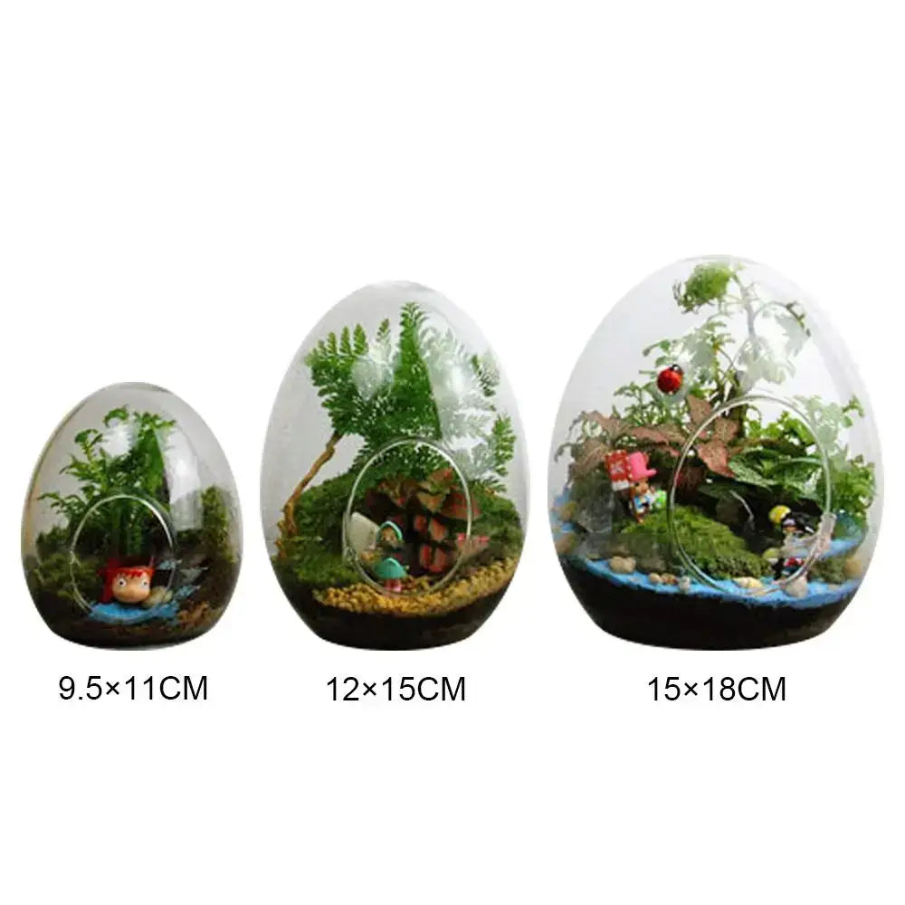 High quality glass egg-shaped terrarium set for living room decor