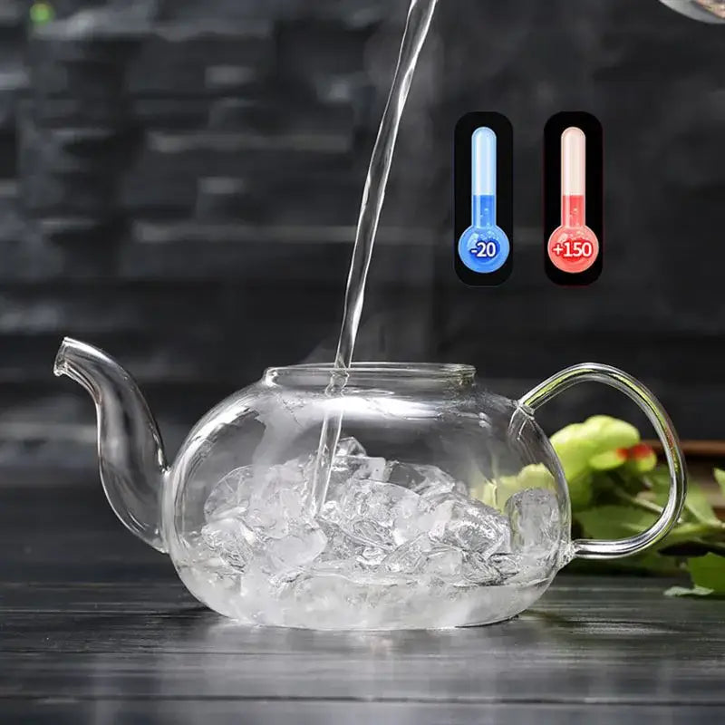 Modern heat resistant glass teapot set with infuser for kitchen tea