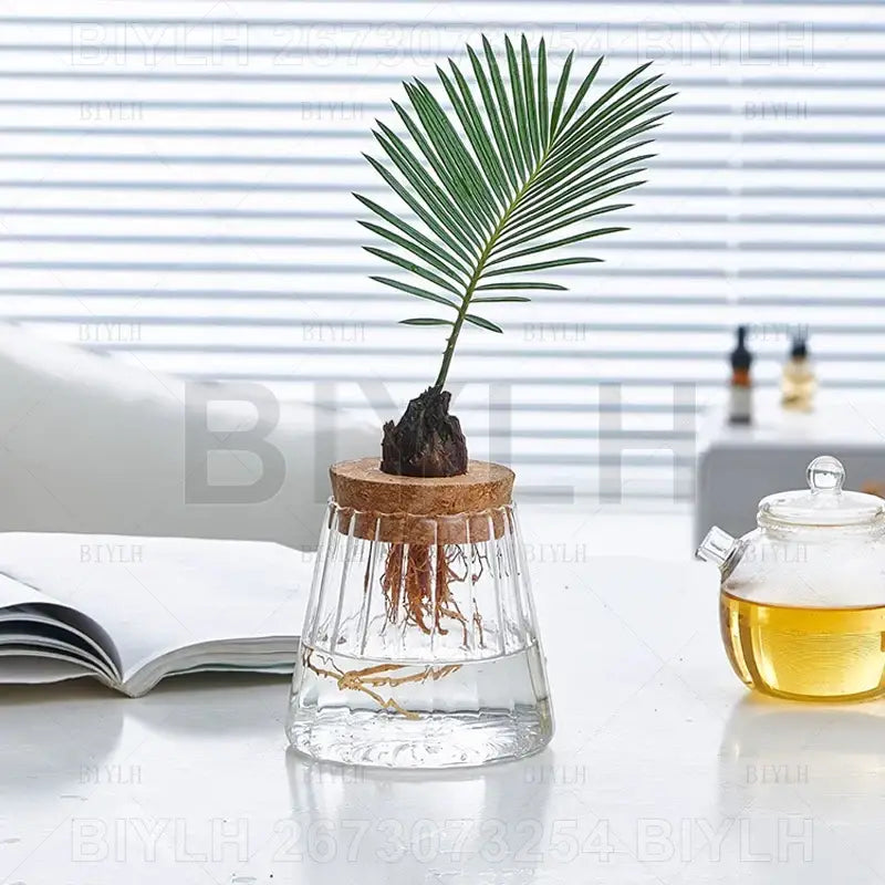 Modern clear glass flower pots with wood base living room planters