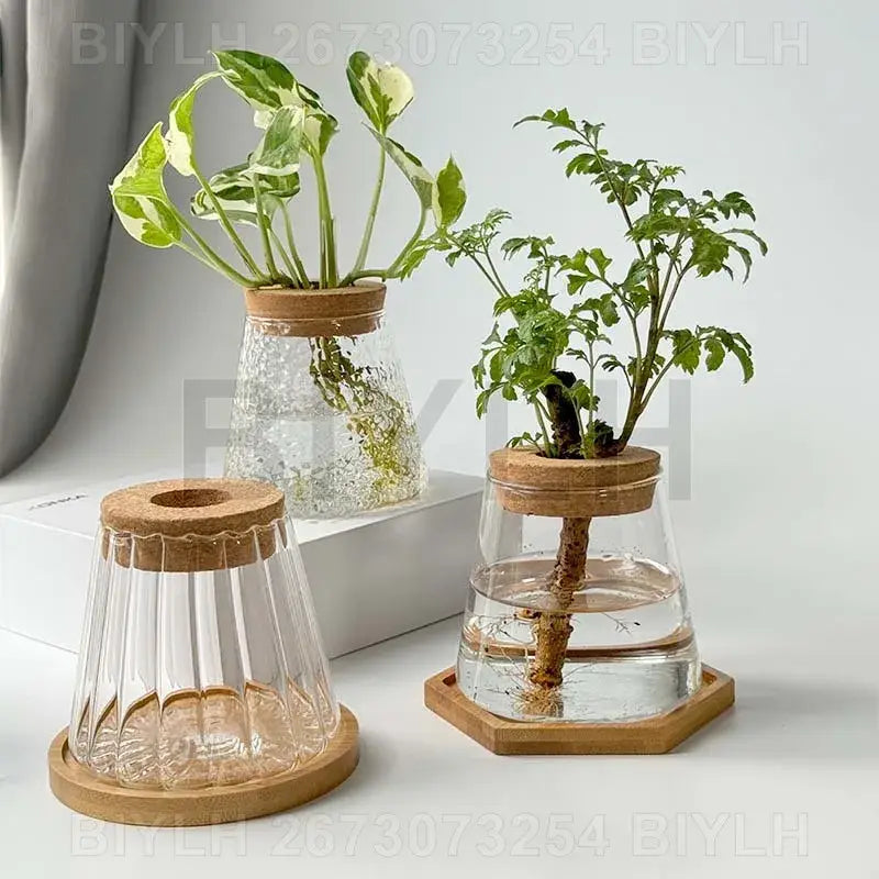 Modern clear glass flower pots with wood base living room planters