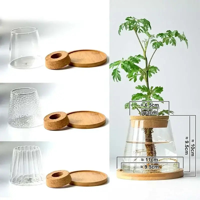 Mini nordic glass hydroponic planter with wood lid living room decor