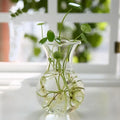 Modern tapered glass vase terrarium – living room decoration