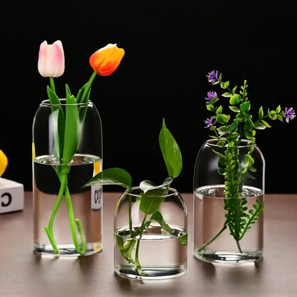 Modern hydroponic plant glass flower vase for living room decor