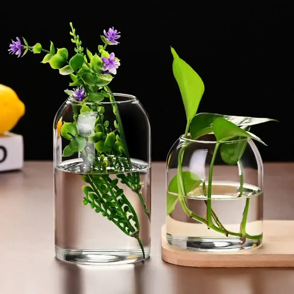 Modern hydroponic plant glass flower vase for living room decor
