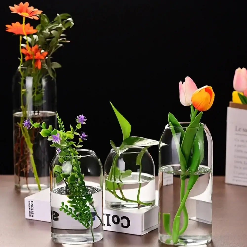 Modern hydroponic plant glass flower vase for living room decor