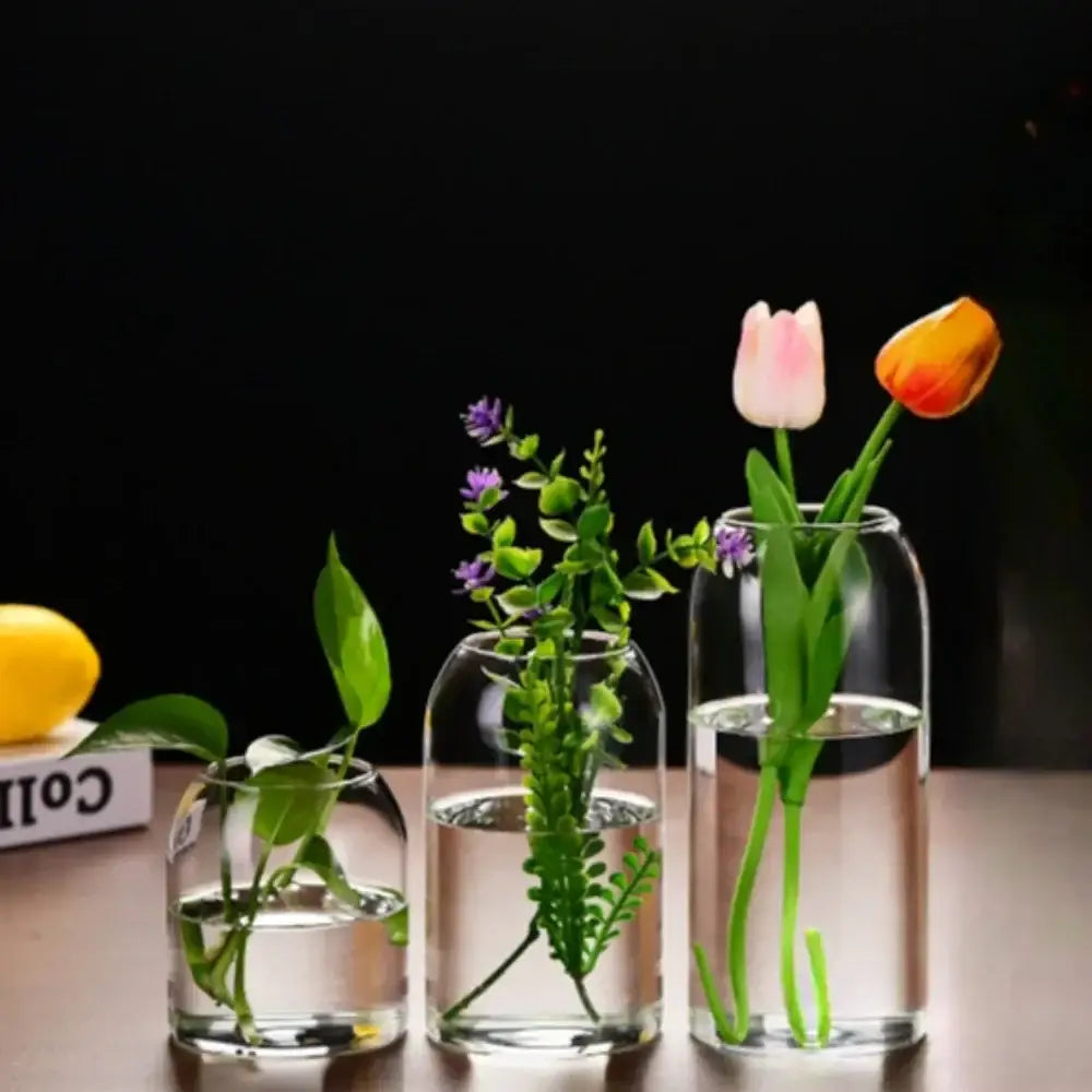 Modern hydroponic plant glass flower vase for living room decor