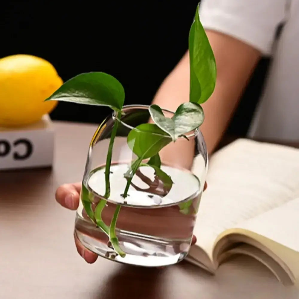 Modern hydroponic plant glass flower vase for living room decor