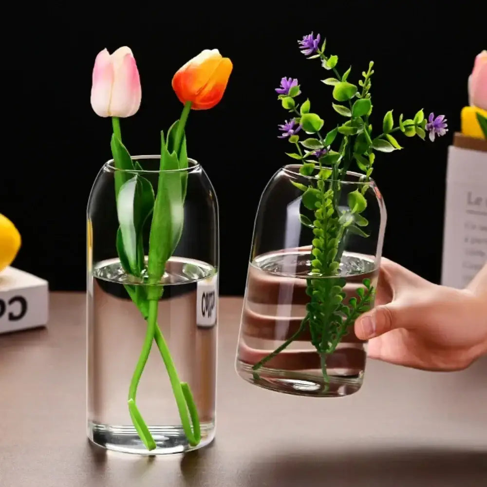 Modern hydroponic plant glass flower vase for living room decor