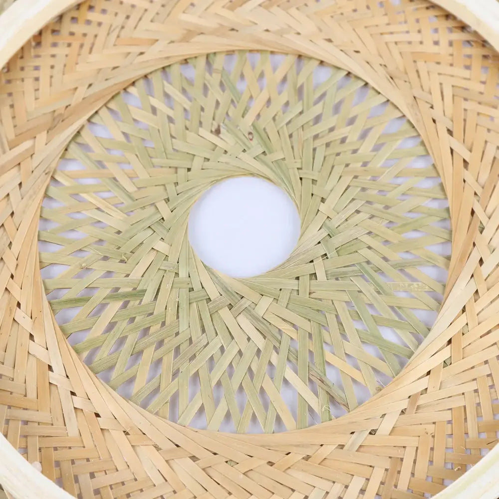 Modern rattan pendant light ceiling fan – living room bamboo texture