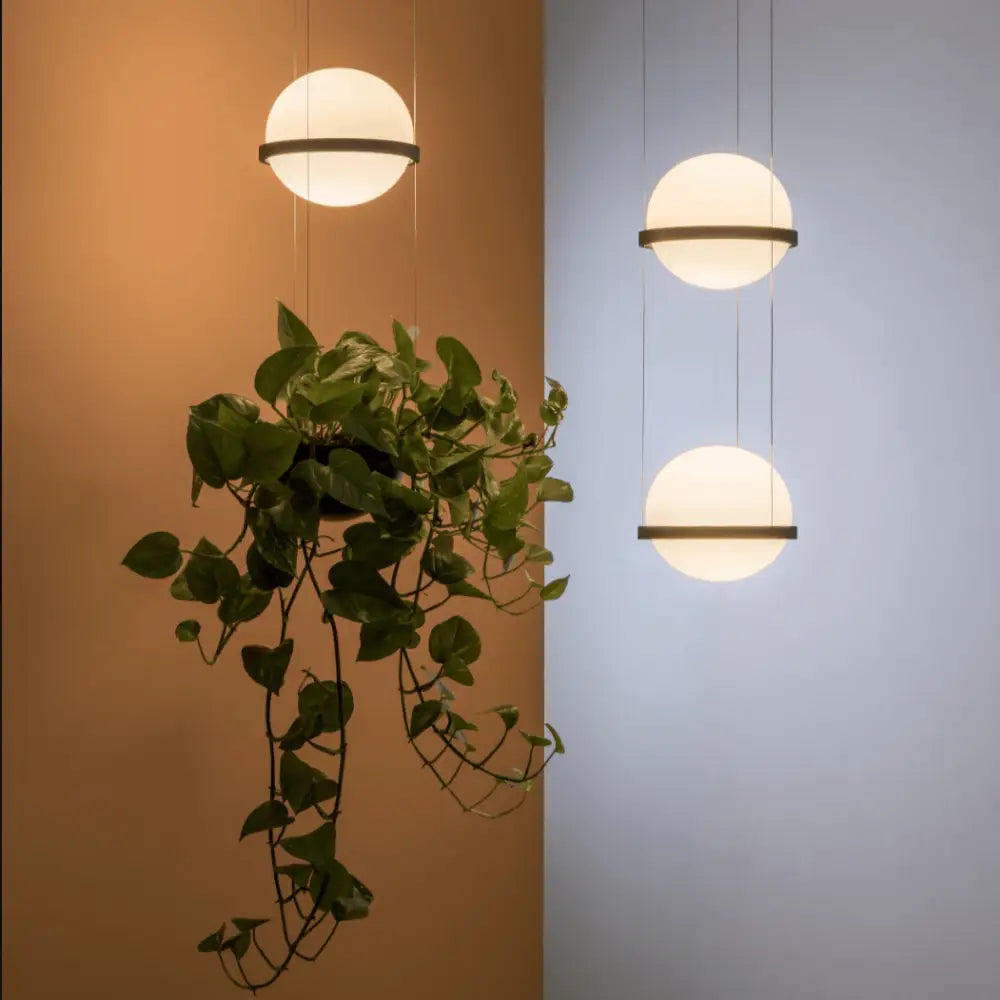 Modern matte black planter light pendant frosted glass dining room