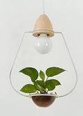 Modern wood and black pendant planter light dining room