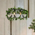 Retro birdcage island light fixture kitchen ivy chandelier black