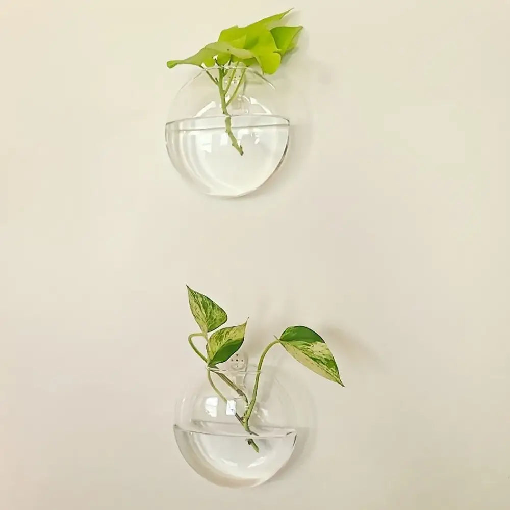 Modern spherical glass terrarium set – living room wall planters