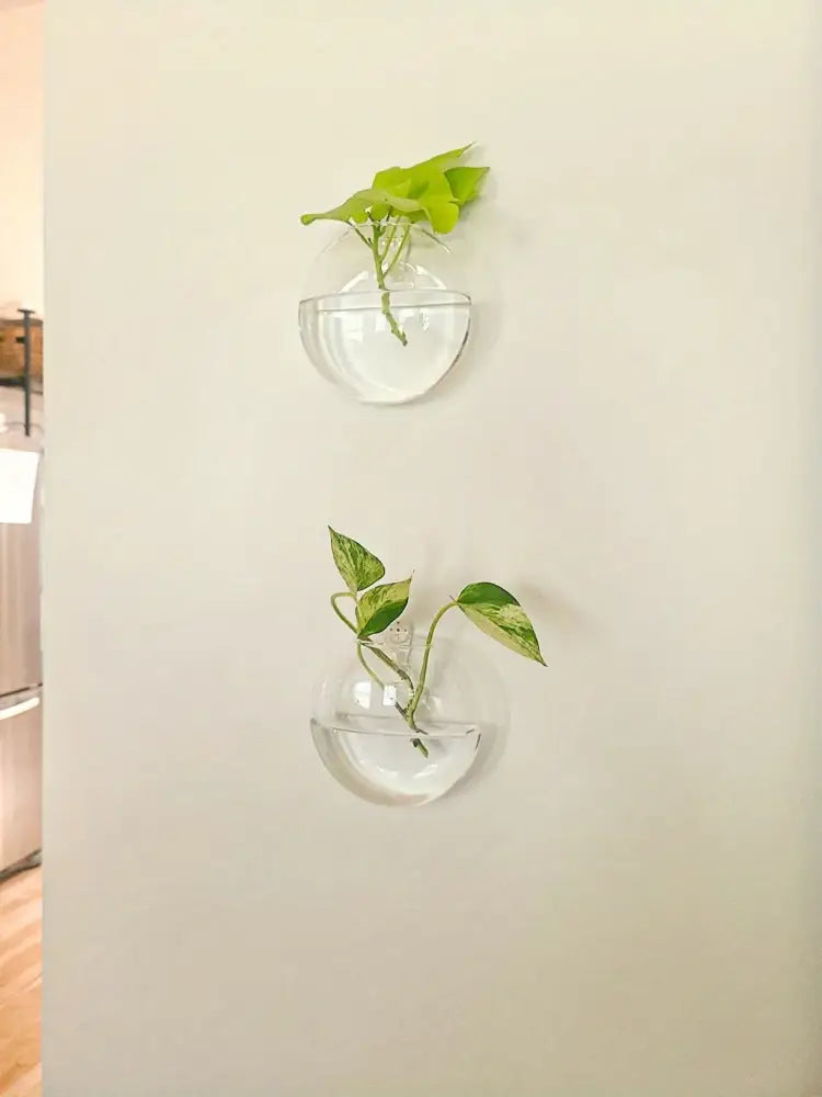 Modern spherical glass terrarium set – living room wall planters