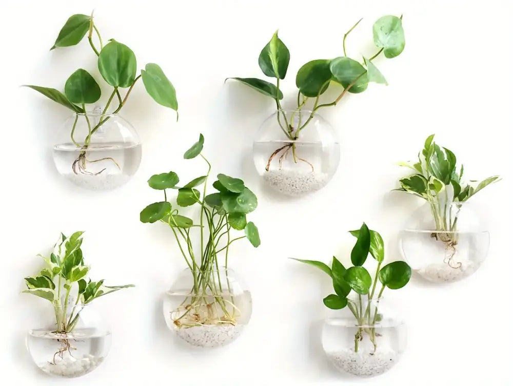Modern spherical glass terrarium set – living room wall planters