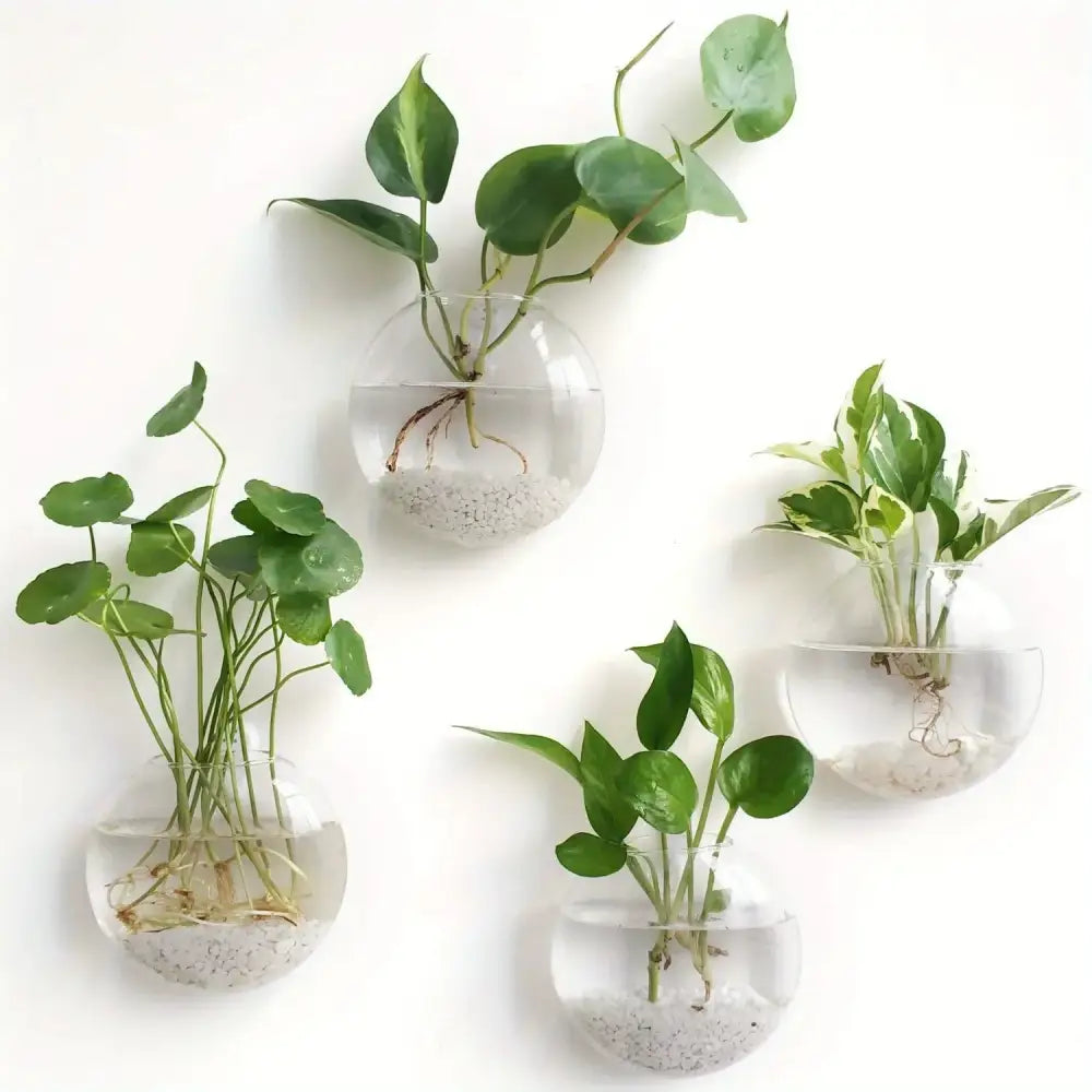 Modern spherical glass terrarium set – living room wall planters