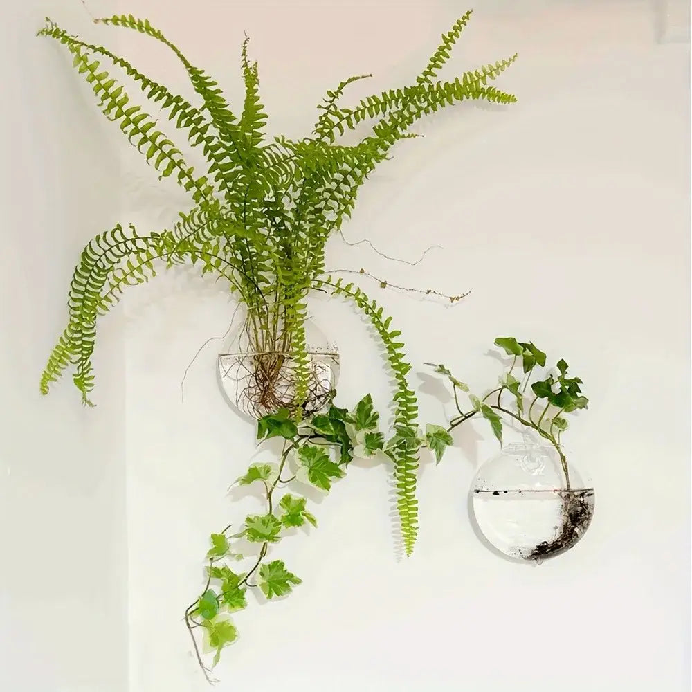 Modern spherical glass terrarium set – living room wall planters