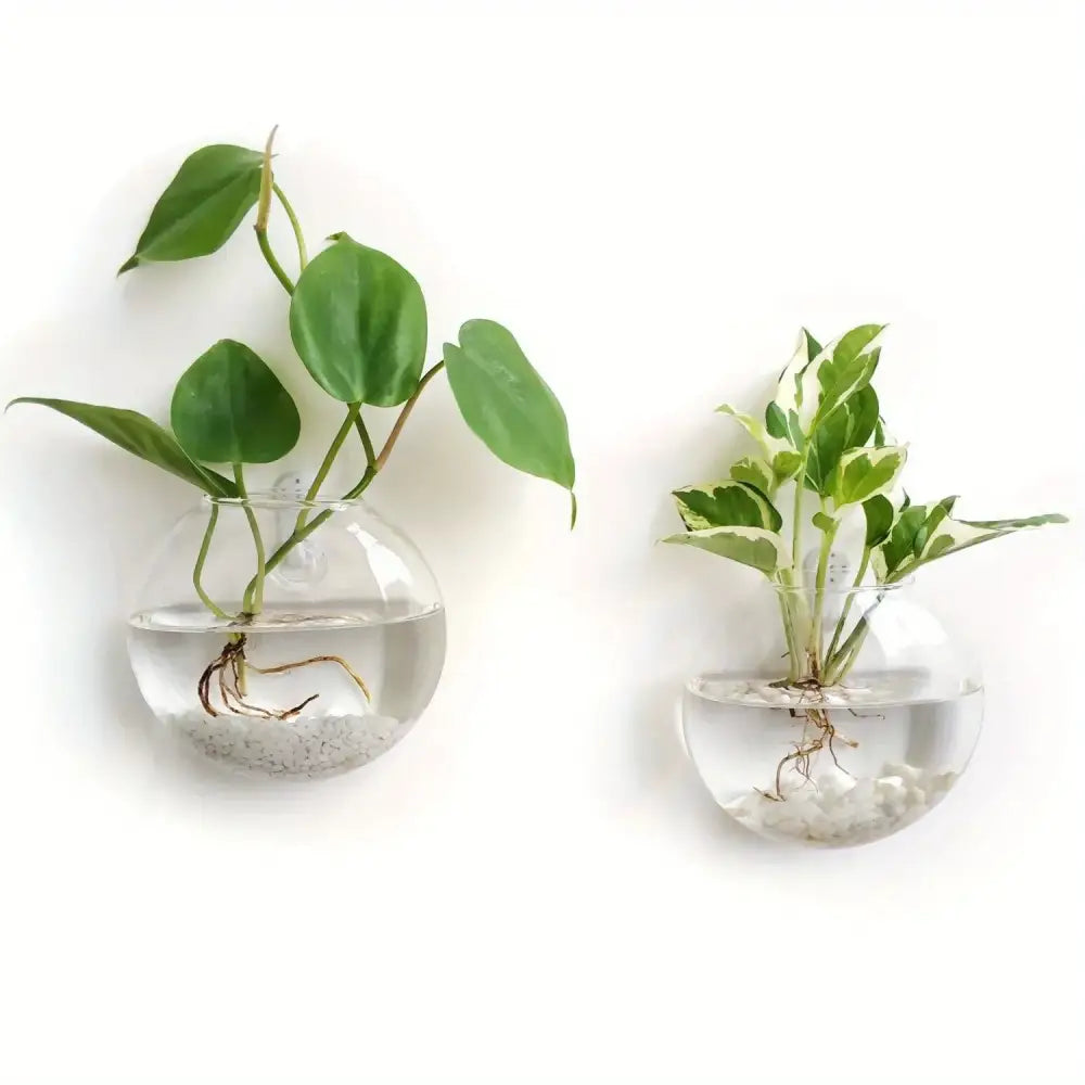 Modern spherical glass terrarium set – living room wall planters