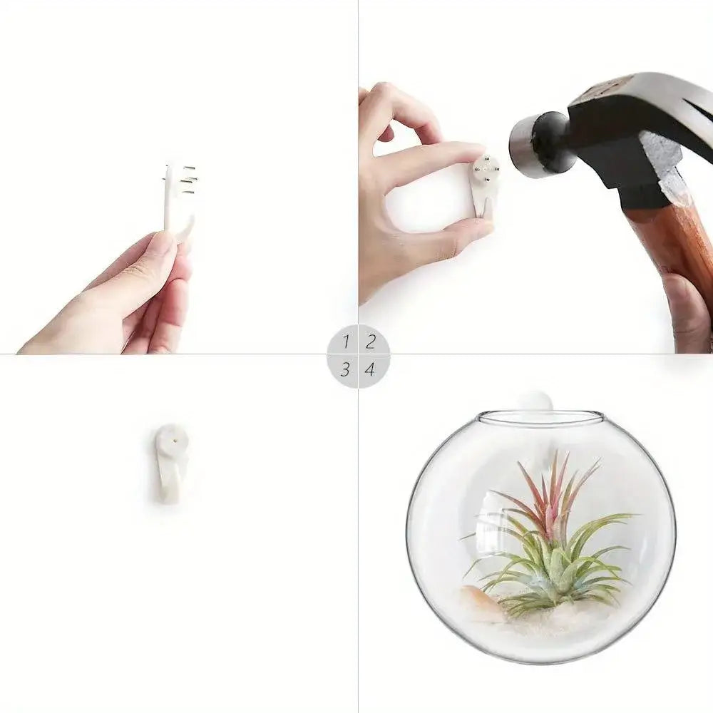 Modern spherical glass terrarium set – living room wall planters