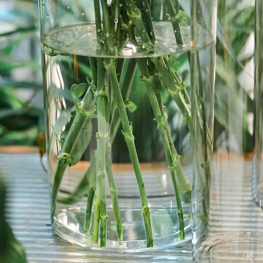 Modern shatterproof clear acrylic cylinder vase dining room decor