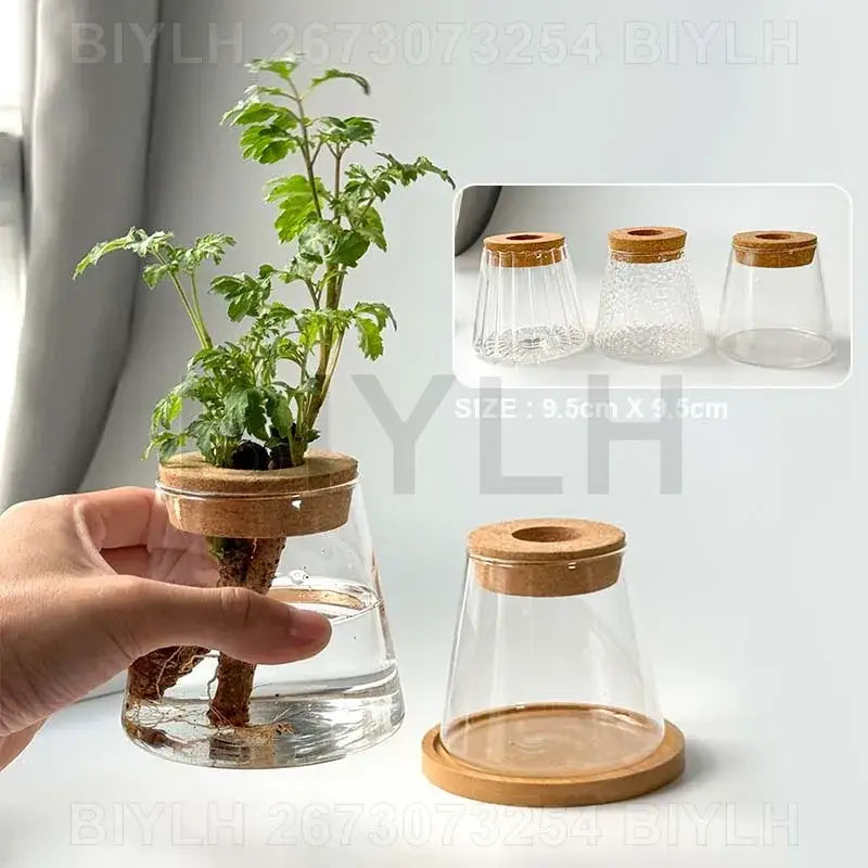 Small transparent glass vase with bamboo base for living room decor