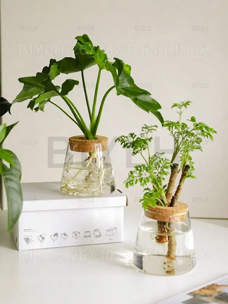 Small transparent glass vase with bamboo base for living room decor