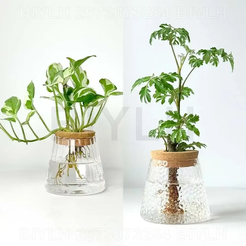Small transparent glass vase with bamboo base for living room decor