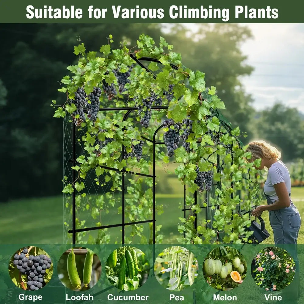 Tall black metal arched garden plant trellis garden decor