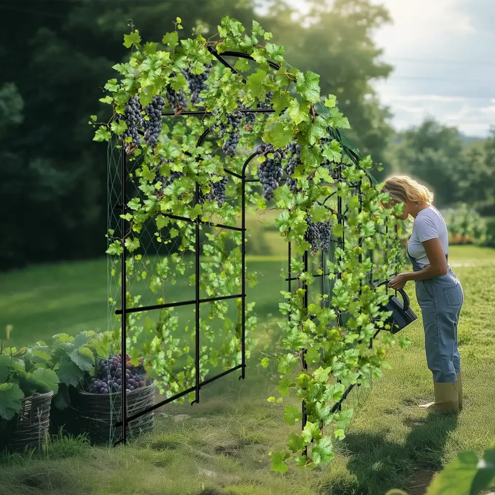 Tall black metal arched garden plant trellis garden decor