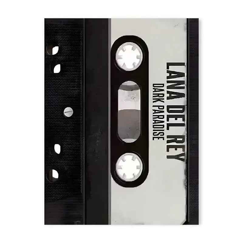 Y2k rock black & silver lana del rey canvas poster bedroom decor