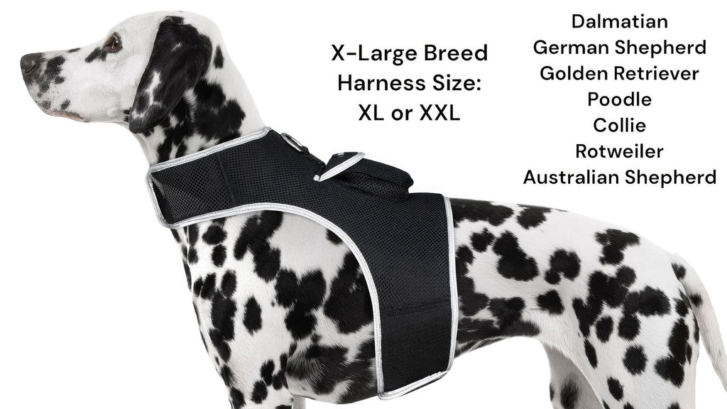 GSM GPS Animal Tracker Collar Attached Rechargeable Realtime Surveillance Gadget Size:XXL