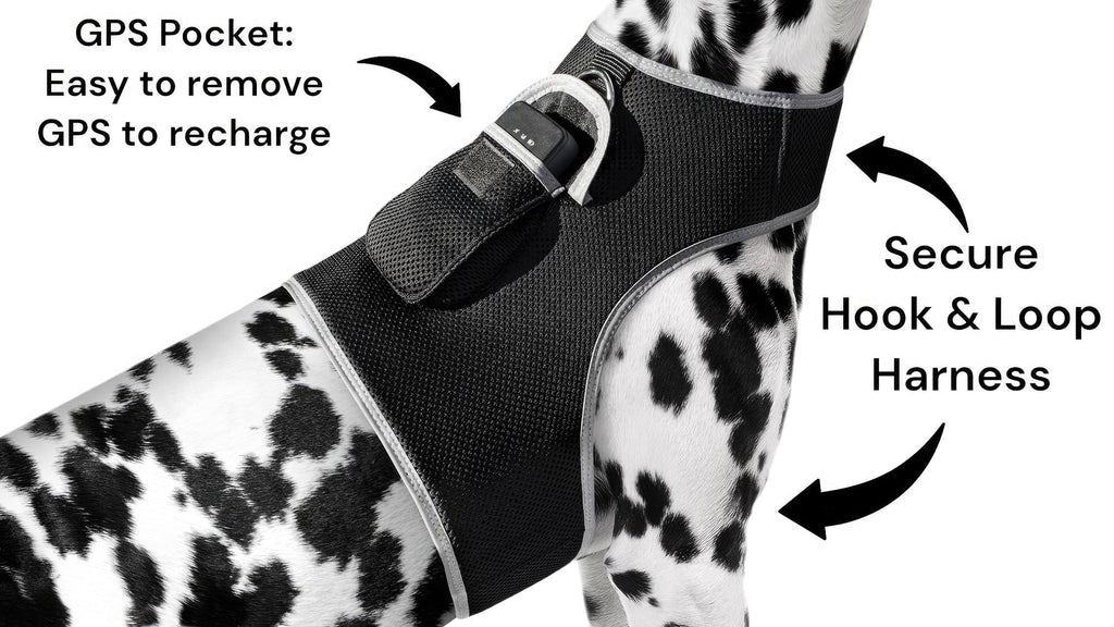 Collar Rechargeable Portable GPS Tracking Devices for Pets GSM Locator Size:XS