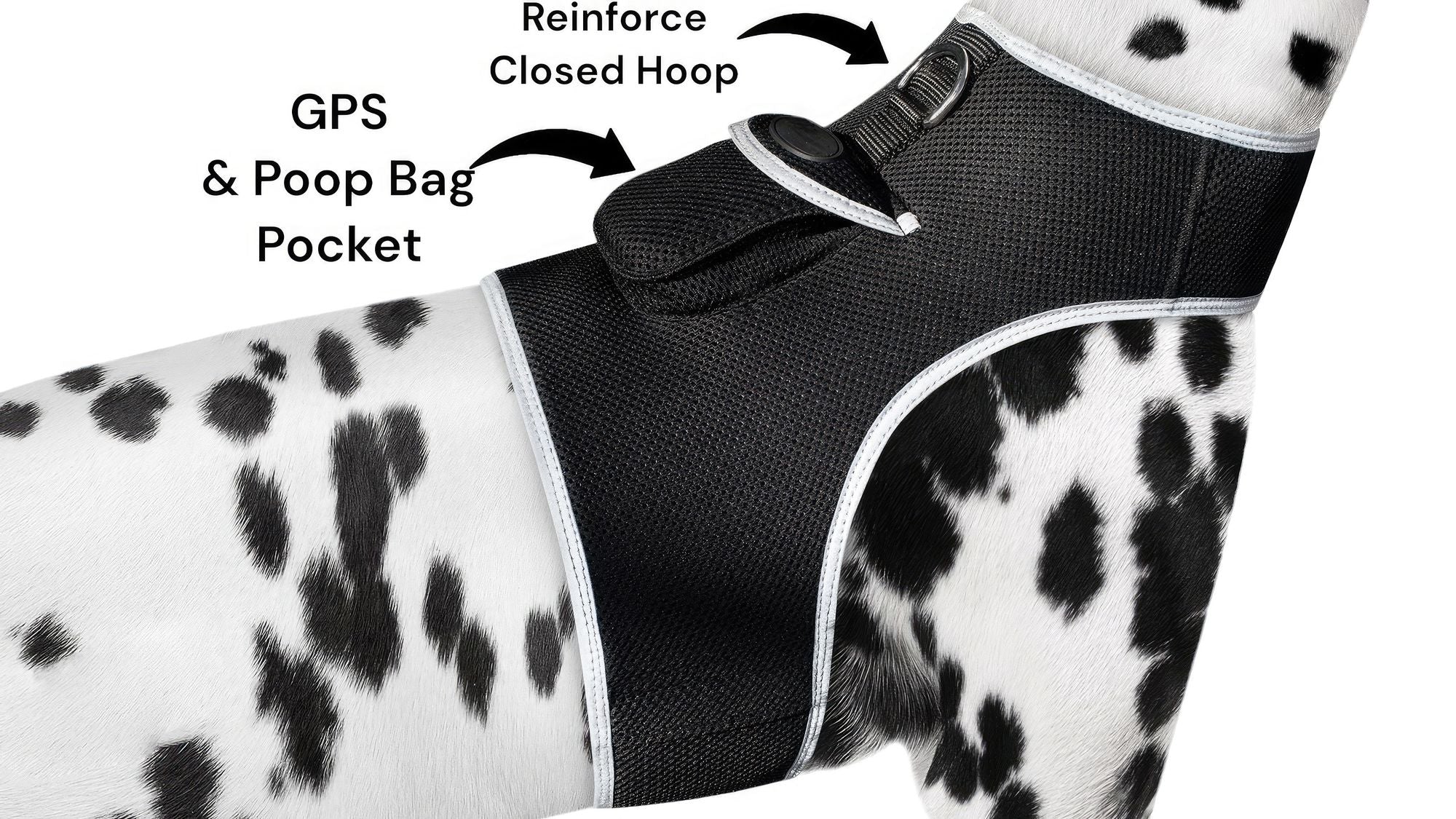 Waterproof Mini Pet Location Finder w/ Pet GPS Tracking Cell Phone App Size:M