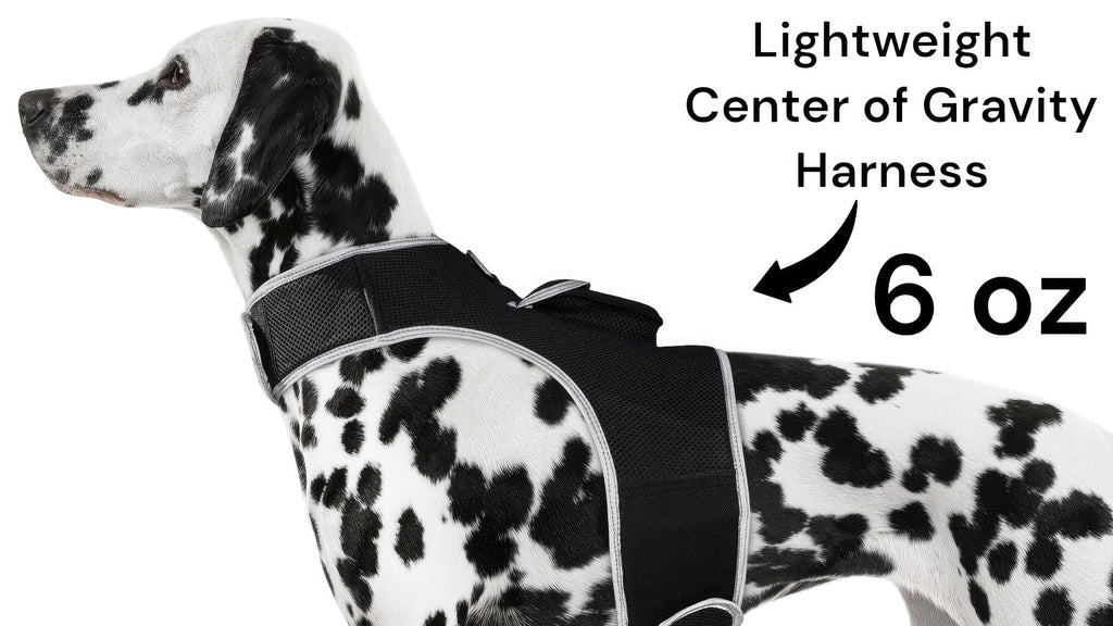 Waterproof Collar Mount Tracker Realtime GPS GSM Puppy Tracking Device Size:L