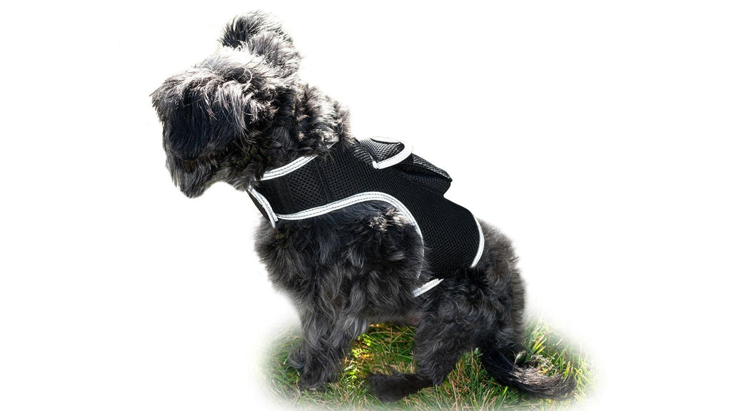 GSM GPS Animal Tracker Collar Attached Rechargeable Realtime Surveillance Gadget Size:XXL