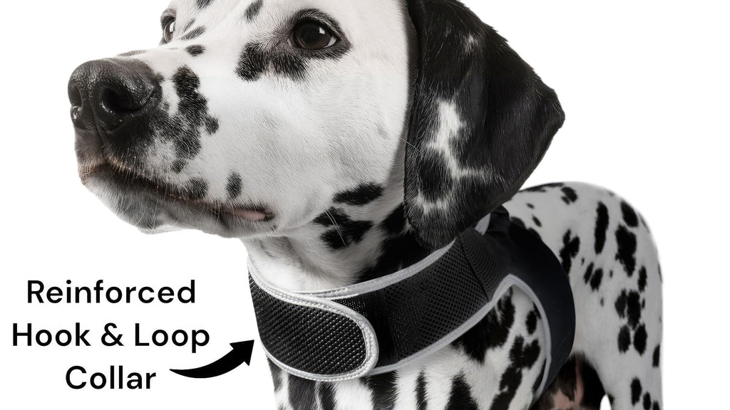 GPS Rechargeable Tracking Device for Pets Realtime Surveillance System Size:XXL