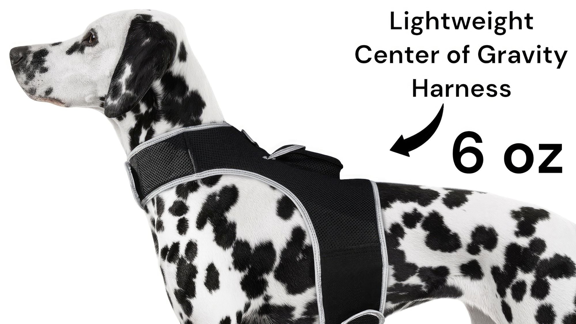 Consistent Realtime Mini Cat Dog GPS Tracking Collar Waterproof Device Size:L