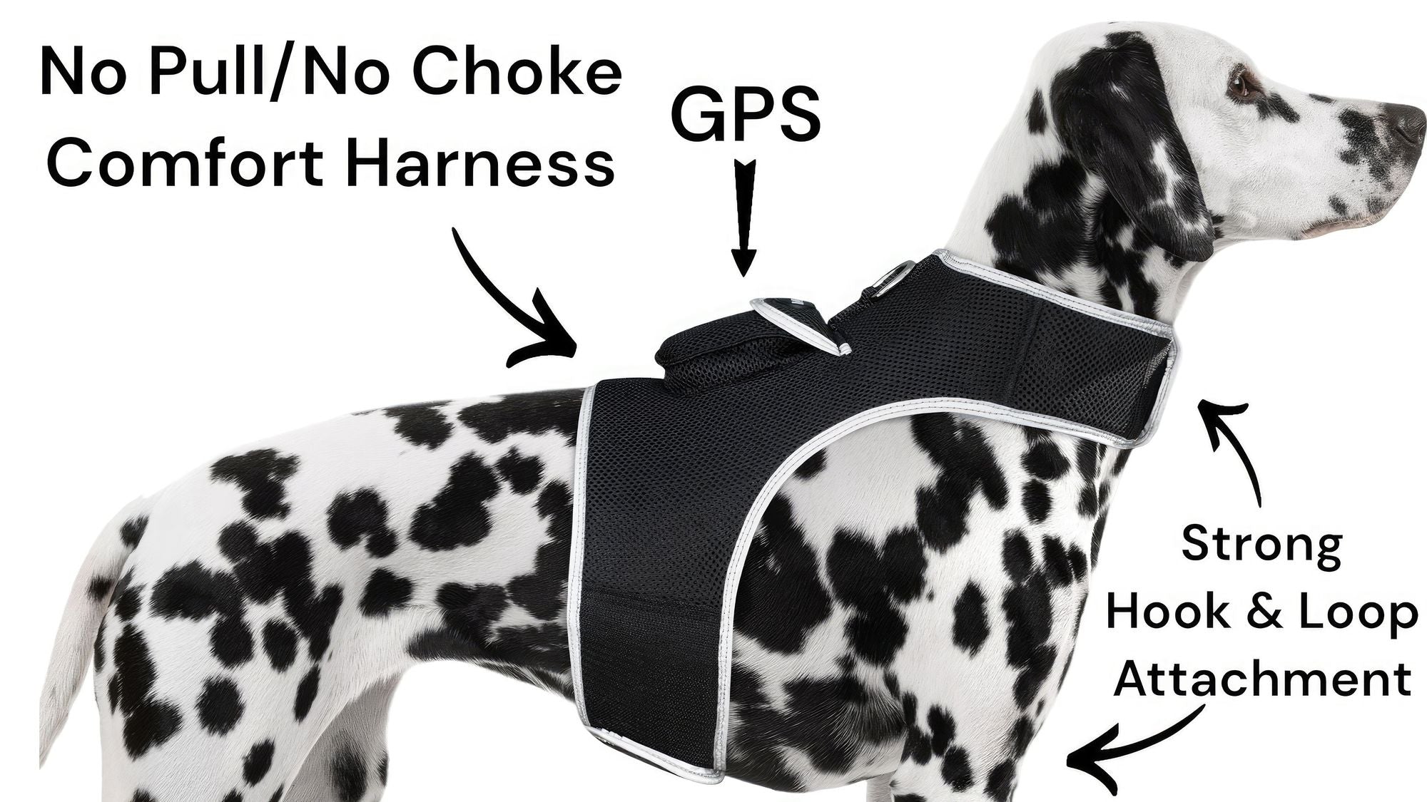 Easy Setup Waterproof Mini GPS Realtime Pet GSM GPRS Tracking Device Size:L