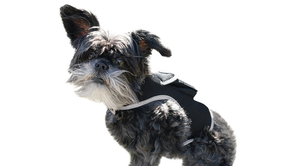 GPS Rechargeable Tracking Device for Pets Realtime Surveillance System Size:XXL