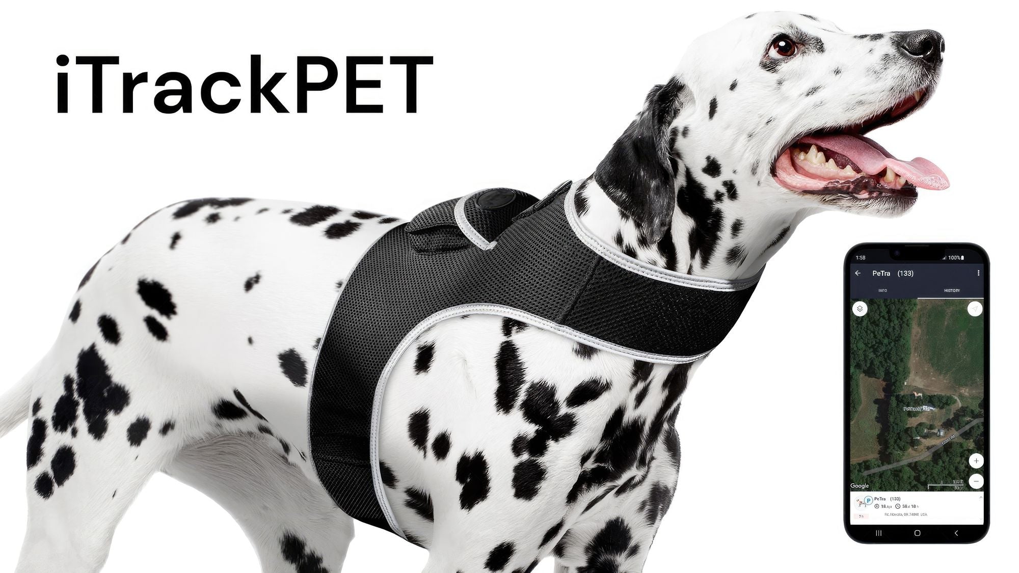 GPS Rechargeable Tracking Device for Pets Realtime Surveillance System Size:XXL