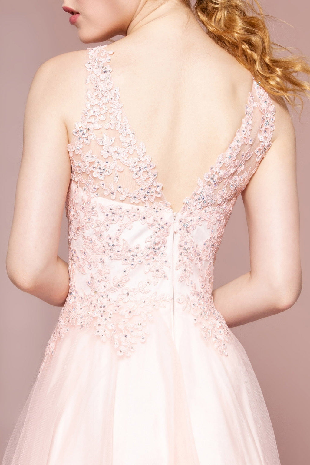 Floral Lace Embellished Bodice Mesh A-Line Dress