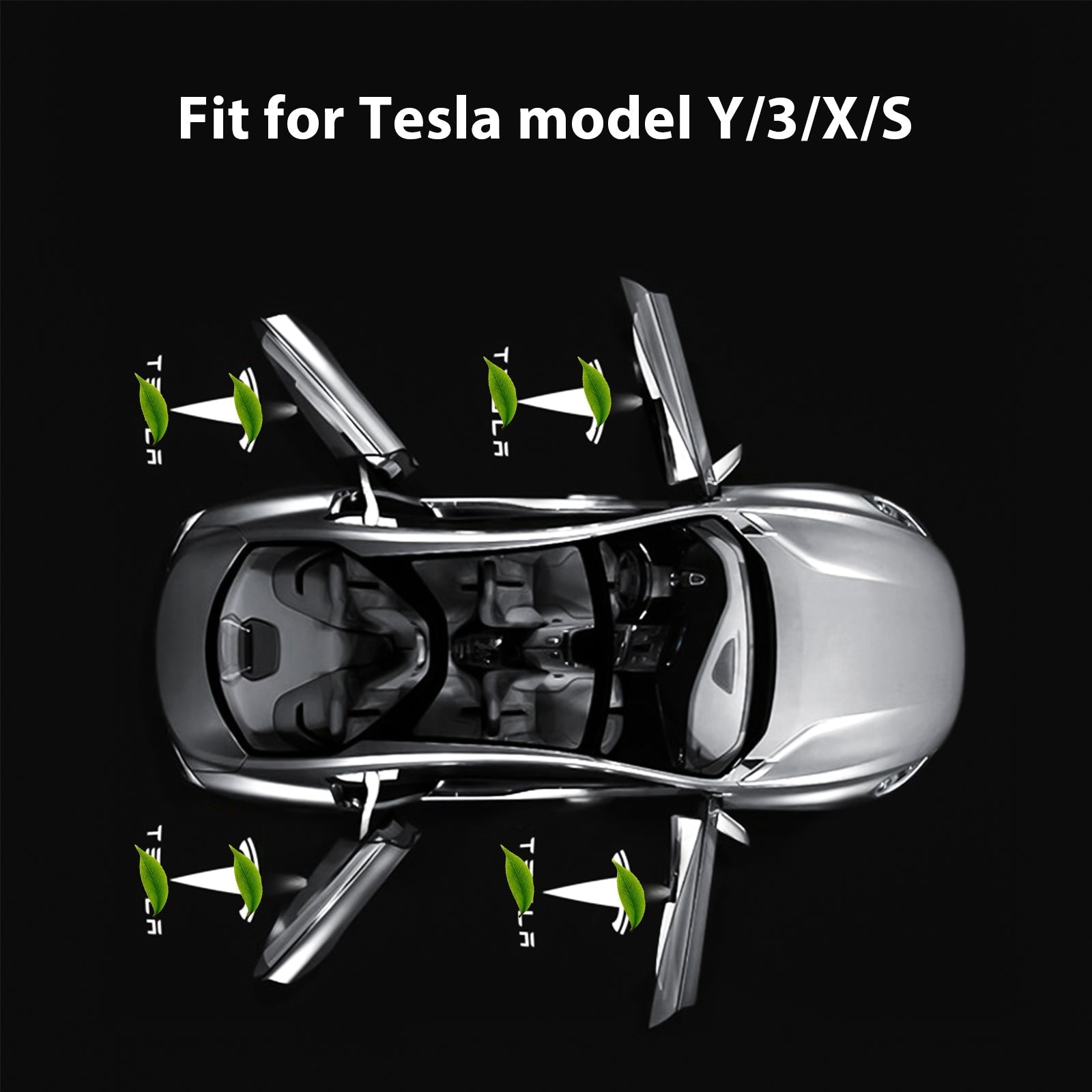 LED Logo Tesla Puddle Lights for Model 3/Y/S/X | TESERY