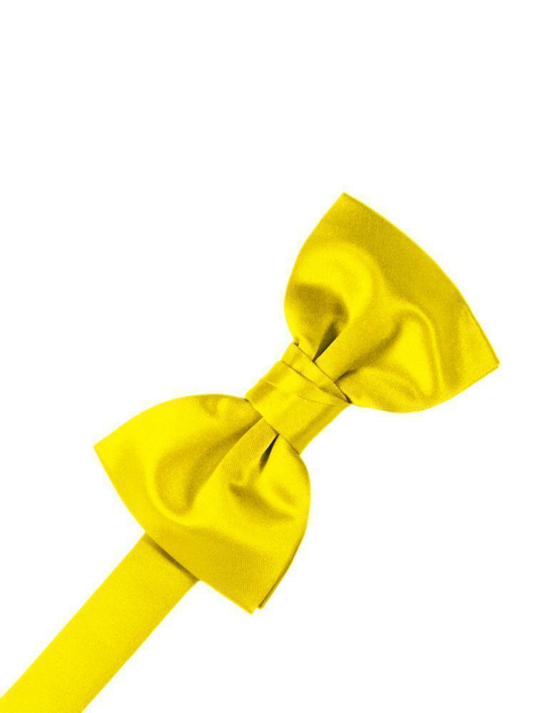 Luxury Satin Bow Tie