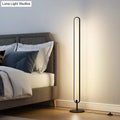 DecorBites™ Modern Oval Frame LED Bedside Floor Lamp in Black - Simplicity, Acrylic, with Adjustable Light: Warm, White, Natural