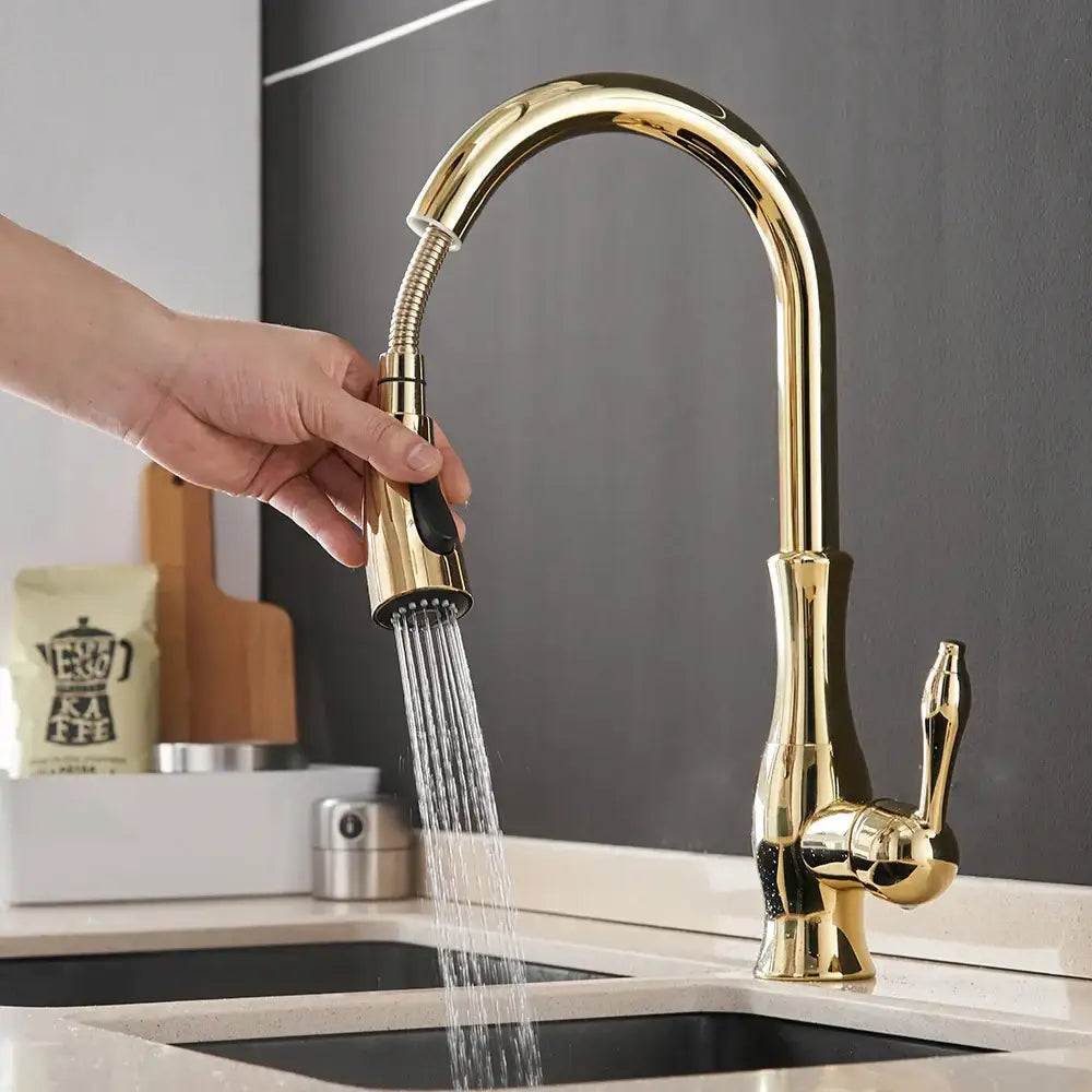 DecorBites™ Black Single Handle Pull Out Kitchen Faucet - Swivel 360° Water Mixer Tap