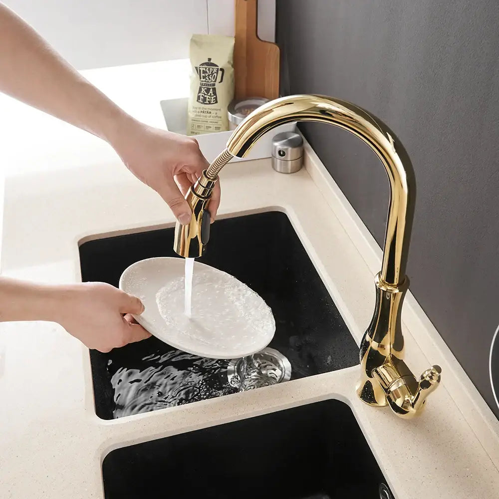 DecorBites™ Black Single Handle Pull Out Kitchen Faucet - Swivel 360° Water Mixer Tap