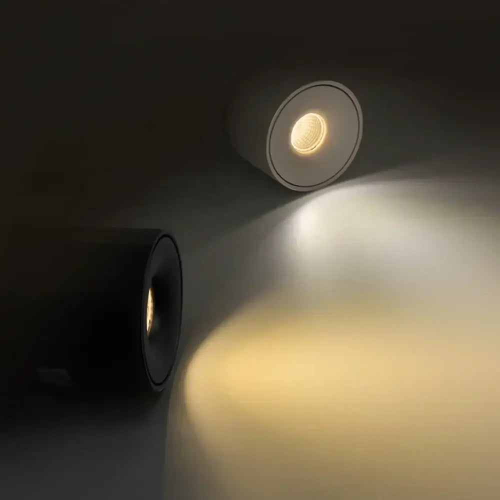 Modern black surface mount ceiling light for hallways