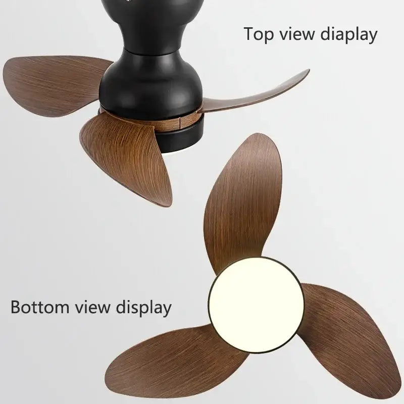 DecorBites™ 22" Modern Black Ceiling Fan Light with DC Remote Control & LED - Bedroom and Restaurant Use