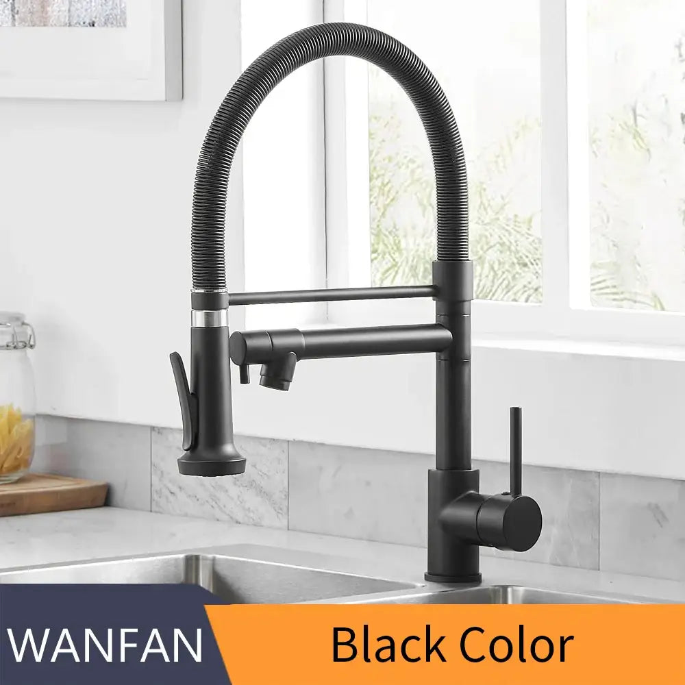 DecorBites™ Black Spring Kitchen Faucet with Sprayer and Brushed Nickel Finish