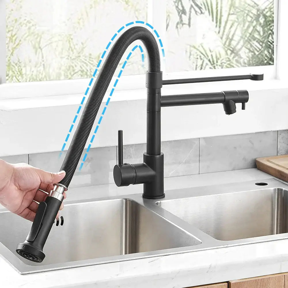DecorBites™ Black Spring Kitchen Faucet with Sprayer and Brushed Nickel Finish
